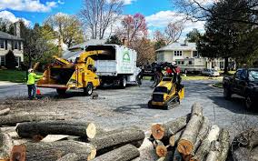 Best Utility Line Clearance  in Woodbury Heights, NJ